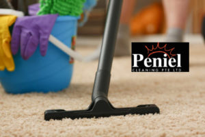 Carpet Cleaning