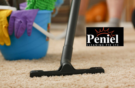 The Best Carpet Cleaning in Singapore by Peniel Cleaning